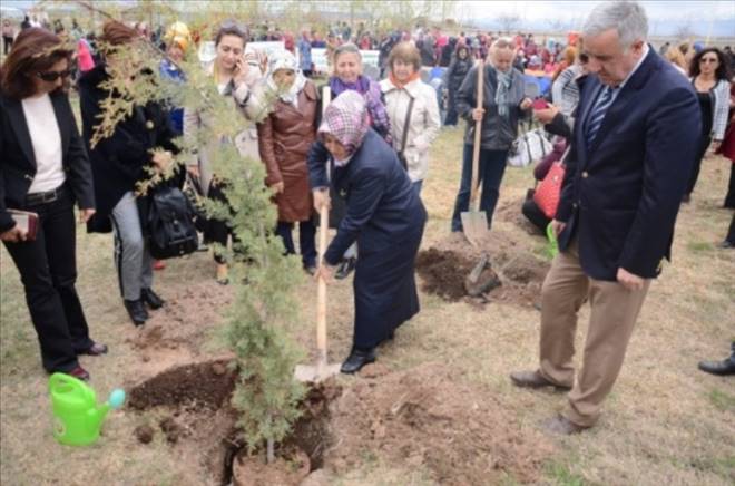 Yeşil Aksaray Çalışmalarına Hanım Eli Değdi