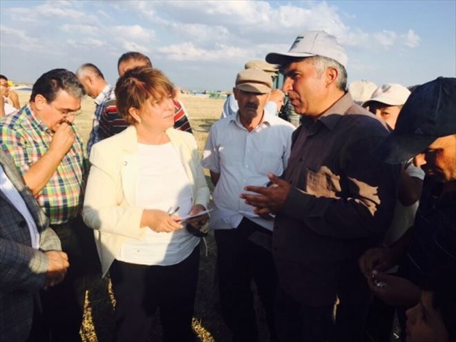 Türkmen Aksaraylı Çekirdek Üreticisine Sahip Çıktı