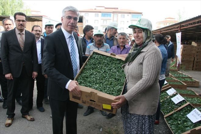 Çiftçiler için fide dağıtım töreni yapıldı