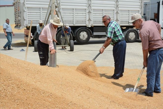 Aksaray´da kuraklık Çiftçiyi kötü etkiledi 