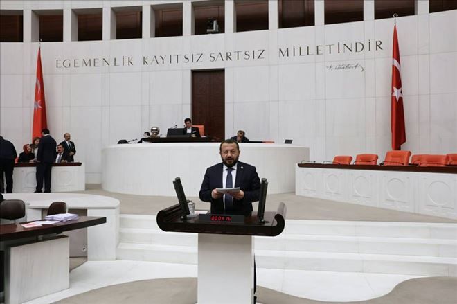 Milletvekili Serdengeçti Meclis´te konuştu 