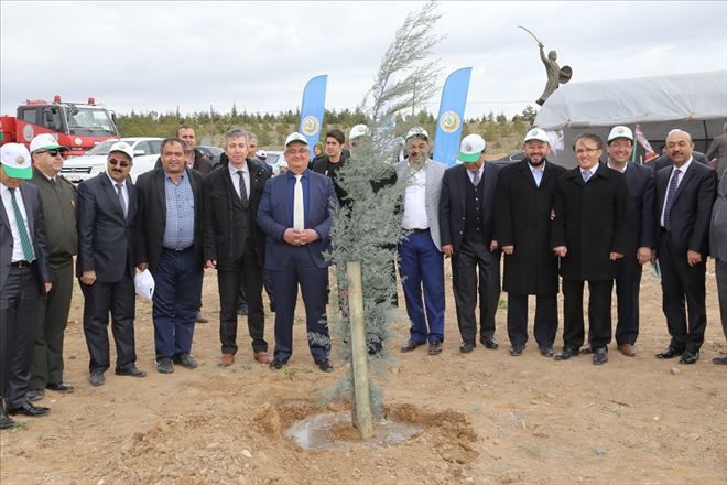 Yeşil Aksaray için fidanlar toprakla buluşturuldu