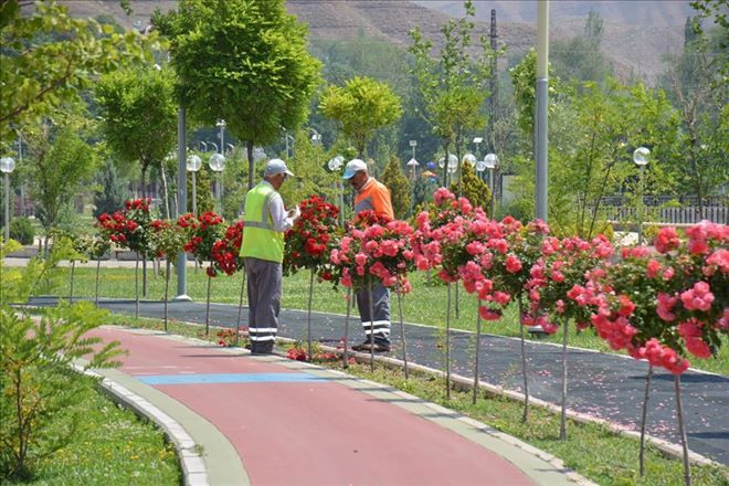 Aksaray Çiçeklerle Güzel?