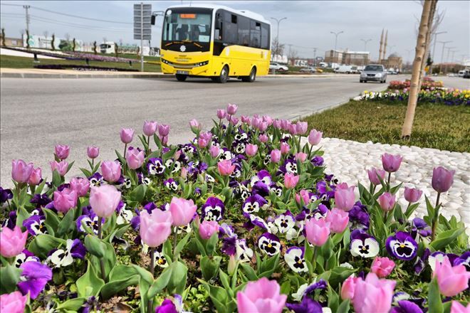 Aksaray Çiçeklerle Bambaşka Güzel 