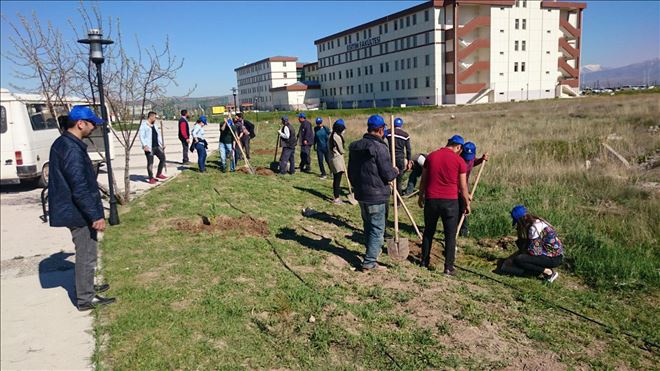 ONLARCA FİDAN TOPRAKLA BULUŞTURULDU