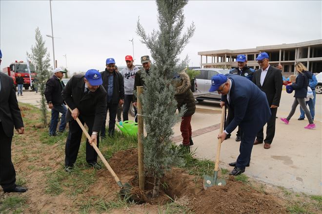 10 bin fidan toprakla buluştu