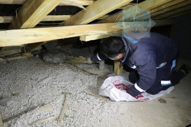 Aksaray’da bir evin çatısında  şaşırtan yaban arısı kolonisi bulundu