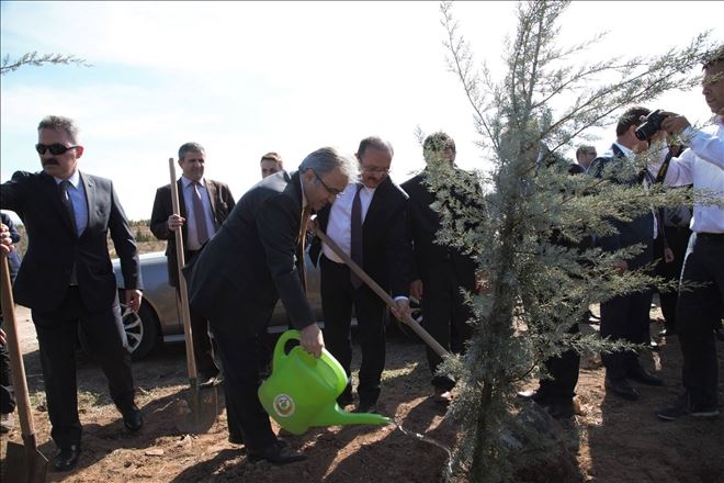 Adalet Ormanı fidan dikim etkinliği gerçekleştirildi