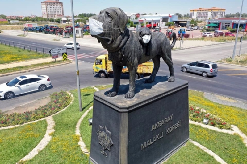 Aksaray Malaklı Köpeğinin Heykeline Takılan Maske İlgi Çekti