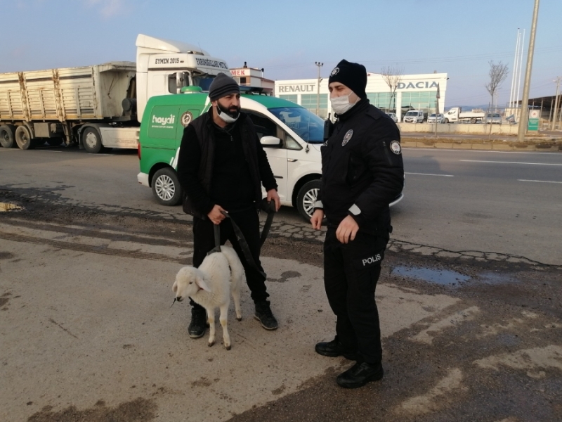 Sürüden ayrılan minik kuzu Ankara-Aksaray karayolunda trafiği birbirine kattı