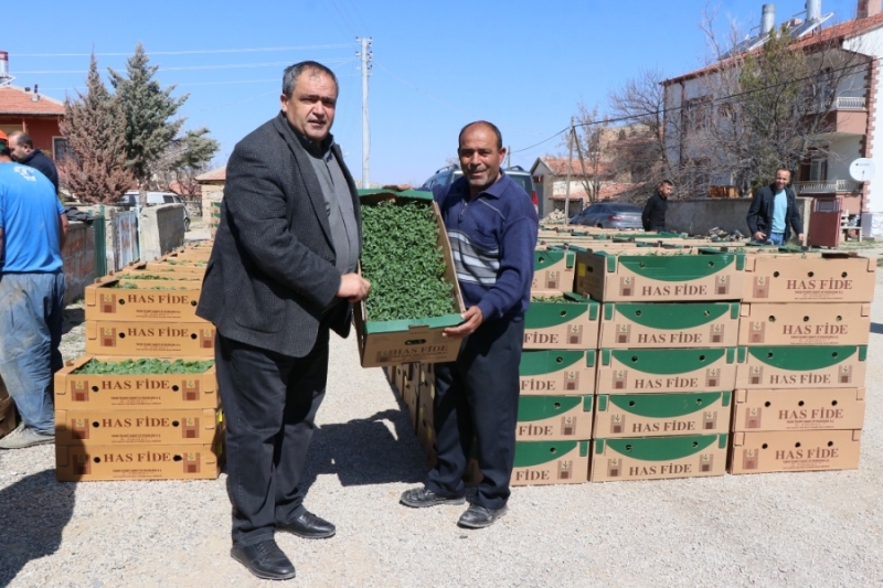 Aksaray’da Ziraat Odası Başkanlığı tarafından üreticilere 1 milyon adet sebze fidesi dağıtıldı.