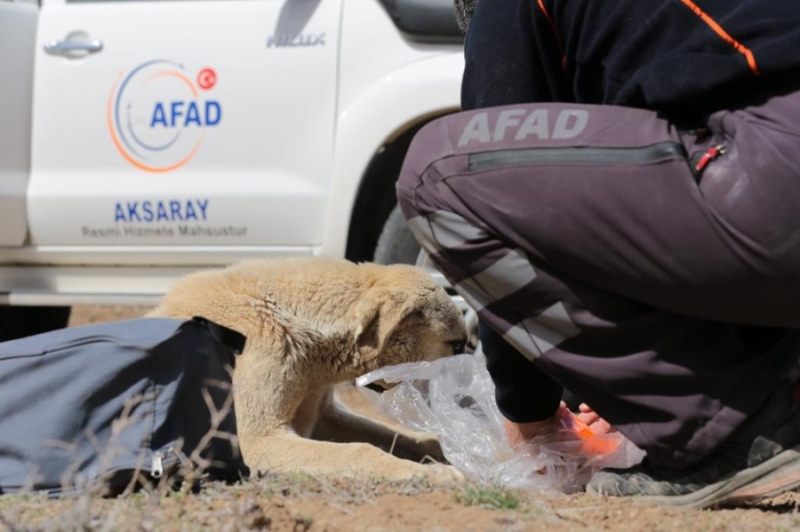 Aksaray’da kuyuya düşen köpeği AFAD ekipleri kurtardı