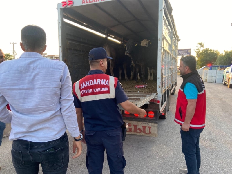 Aksaray’da Kurban Bayramı Öncesi Hayvan Hırsızlıklarına Karşı Tedbirler Artırıldı