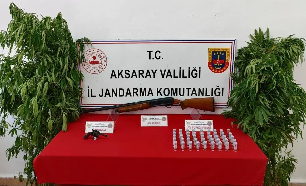 Aksaray jandarması yasa dışı kenevir ekimi yapan 3 kişiyi yakaladı 