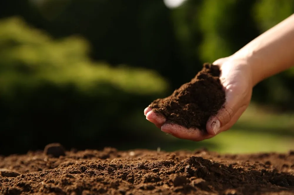 TEMA Vakfı’ndan Dünya Toprak Günü Uyarısı: “Toprağı Kaybetmek, Yaşamı Kaybetmektir”