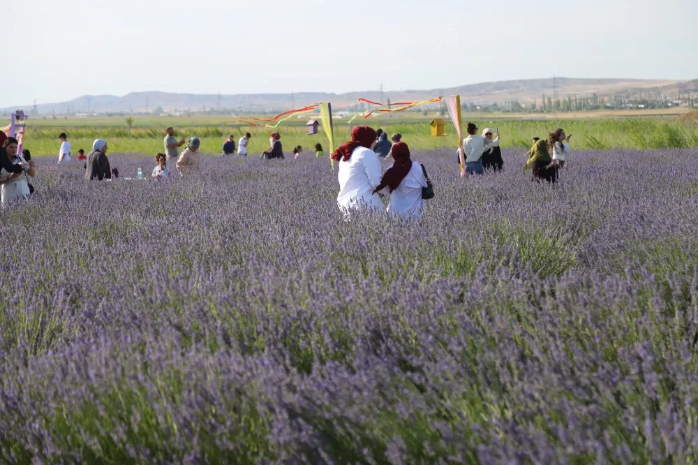 LAVANTA BAHÇESİ SEZON AÇILIŞI VE AŞURE GÜNÜ, AKSARAY’DA COŞKUYLA KUTLANACAK