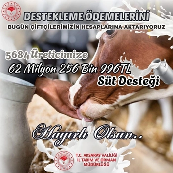 AKSARAYLI ÜRETİCİLERE 62 MİLYON LİRALIK SÜT DESTEĞİ