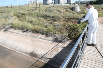 AKSARAY BELEDİYESİ’NDEN BİYOLOJİK MÜCADELEYLE HAŞERELERE ERKEN MÜDAHALE